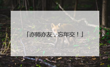 亦师亦友，忘年交！